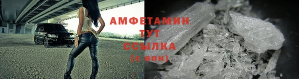 индика Балабаново