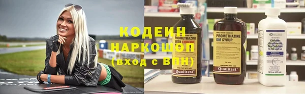 индика Балабаново