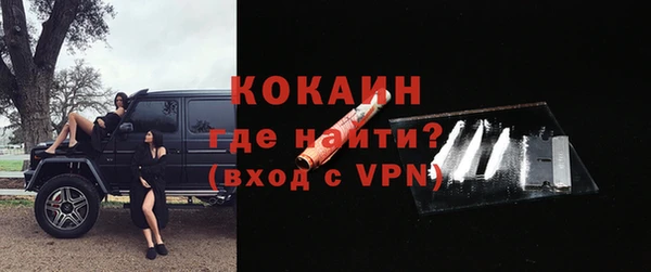 прущие грибы Саяногорск