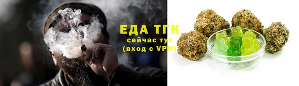 индика Балабаново