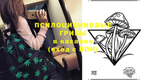 герыч Сафоново